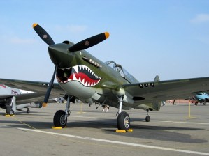 4105135636_dbd0685269_o